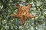 Punta Culebra Nature Center