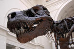 Fernbank Museum of Natural History