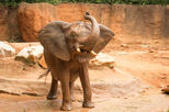 Zoo Atlanta