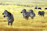 Arusha National Park