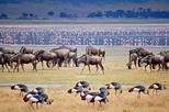 Lake Manyara National Park