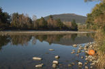 Tongariro River