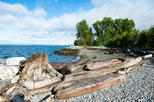 Myrtle Edwards Park