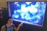 Cabrillo Marine Aquarium