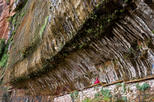 Weeping Rock Trail