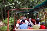 RainForeStation Nature Park