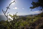 Marin Headlands