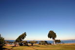 Ellen Browning Scripps Park