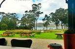 Bruny Island Berry Farm