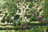 A-Maze Garden