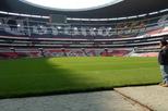 Azteca Stadium (Estadio Azteca)