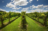 Southern Highlands