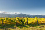 Marlborough District
