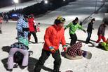 Daemyung Resort Vivaldi Park Ski World