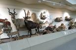Las Vegas Natural History Museum