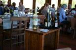Matetic Vineyard