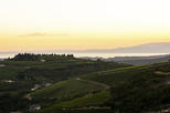 Valpolicella