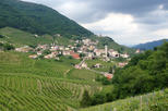 Prosecco Hills