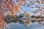 Tidal Basin