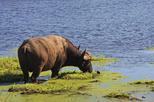iSimangaliso Wetland Park