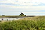 Holy Isle (Eilean Molaise)