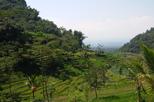 Selogriyo Temple (Candi Selogriyo)
