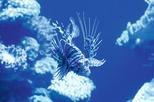 Palma Aquarium