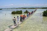 Olango Island