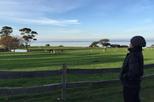 Churchill Island Heritage Farm