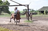 Santa Susana Ranch (Estancia Santa Susana)