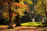 Buenos Aires Botanical Garden (Jardin Botanico Carlos Thays)