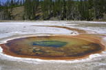 Fountain Paint Pot