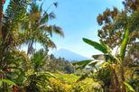 Mt. Batukaru (Gunung Batukaru)
