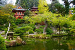 Japanese Tea Garden