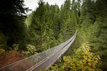 Capilano Suspension Bridge Park