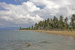 Amber Cove