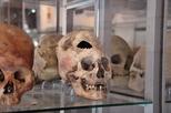 Paracas History Museum