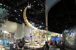 Perot Museum of Nature and Science