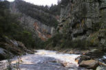 Leven Canyon