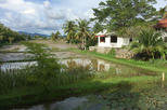Rice Museum (Laman Padi Langkawi)