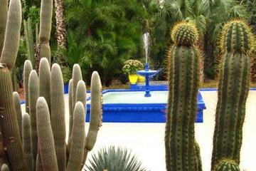 Le Jardin Majorelle