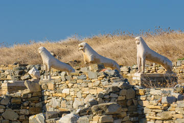 Terrace of the Lions, Delos