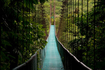 Mistico Arenal Hanging Bridges Park, Costa Rica