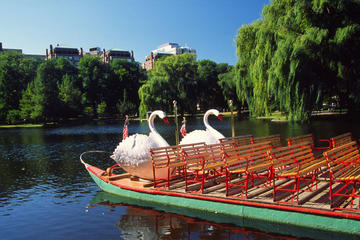 Boston Common, Boston