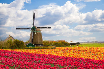 Zaanse Schans, The Netherlands