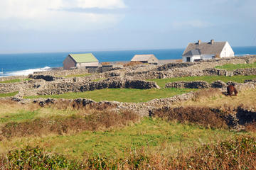 Aran Islands, Western Ireland 