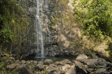Manoa Falls