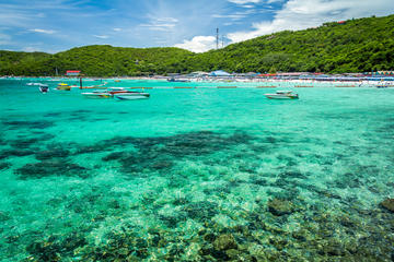 Coral Island, Gulf of Thailand