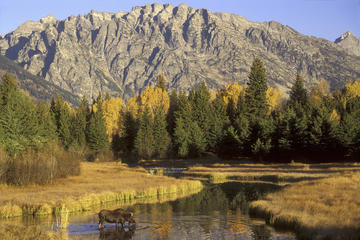 Grand Teton National Park, Wyoming