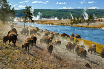 Wyoming, Western USA